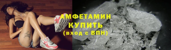 прущие крисы Белокуриха