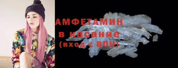 гашик Богданович