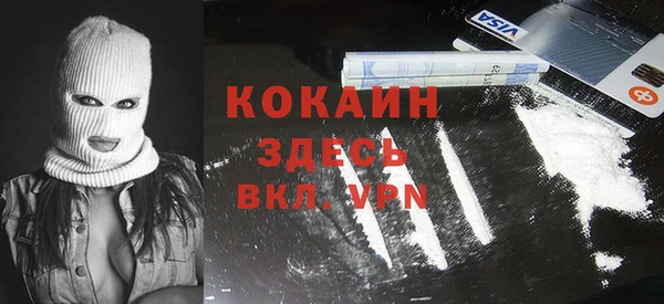 шишки Богородск