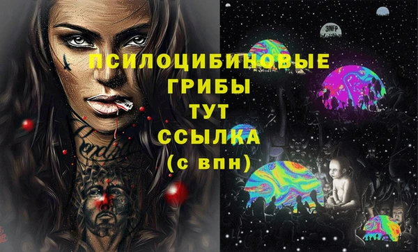 прущие крисы Белокуриха