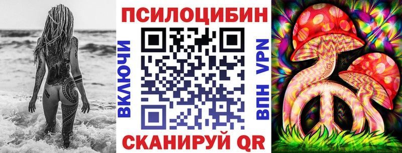 Псилоцибиновые грибы Cubensis  Гусев 
