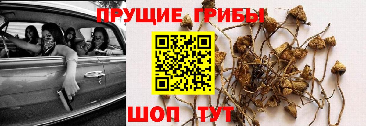 Галлюциногенные грибы Magic Shrooms  Вход с VPN  Гусев 